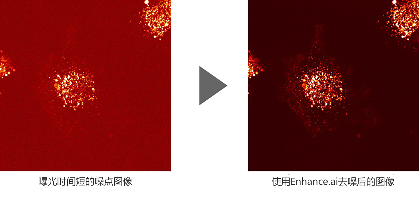 曝光时间短的噪点图像 使用Enhance.ai去噪后的图像