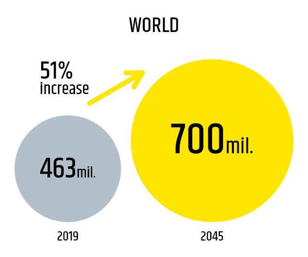 WORLD 2019 463mil. 51% increase 2045 700mil.