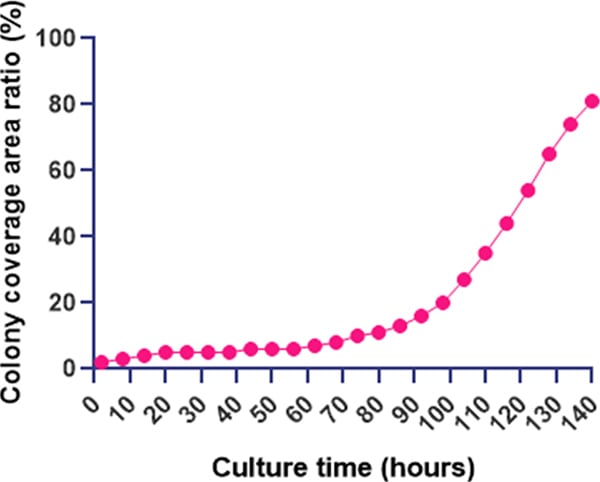 Time course of change in iPS cell colony coverage area. Colony area is displayed as a percentage (%)