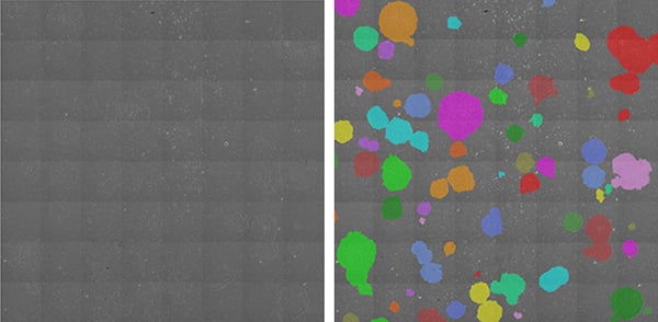 Identification of hiPSC colony area by phase contrast image analysis
