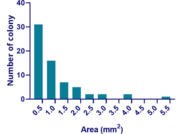 Distribution of iPSC colony size. Measurements are displayed in units of mm2.