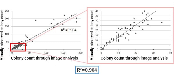 Graph of correlation between visually observed colony count (Y axis) and colony count through image analysis (X axis)