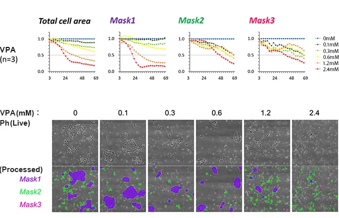 The effect of VPA (0.1-2.4 mM) on the differentiation of hiPSCs into neural stem cells