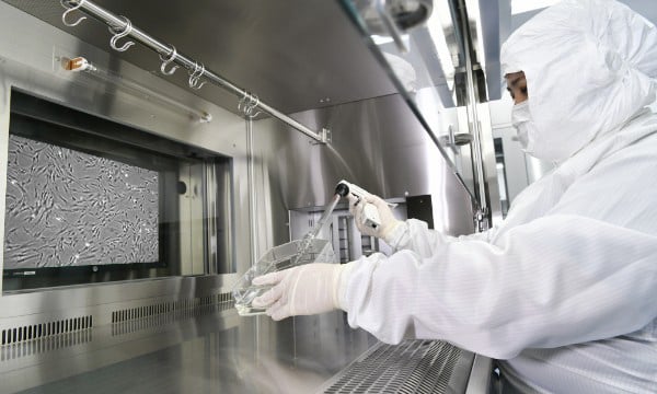 Media exchange work at the CPC. It is also possible to display cell observation images on the wall monitor of the safety cabinet.