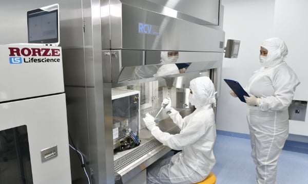 An image of work underway in the CPF at the Regenerative Medicine Innovation Center