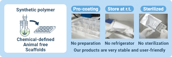 Synthetic polymer scaffold material that is easy to use and can be applied to various culture systems.