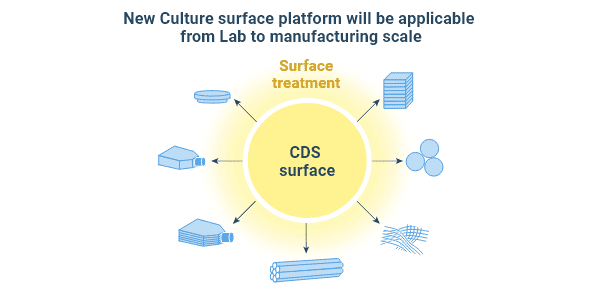 Applications of synthetic polymer scaffold material