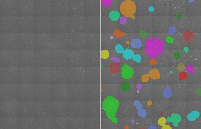 Accurately evaluate hPSC culture conditions by monitoring colony growth area