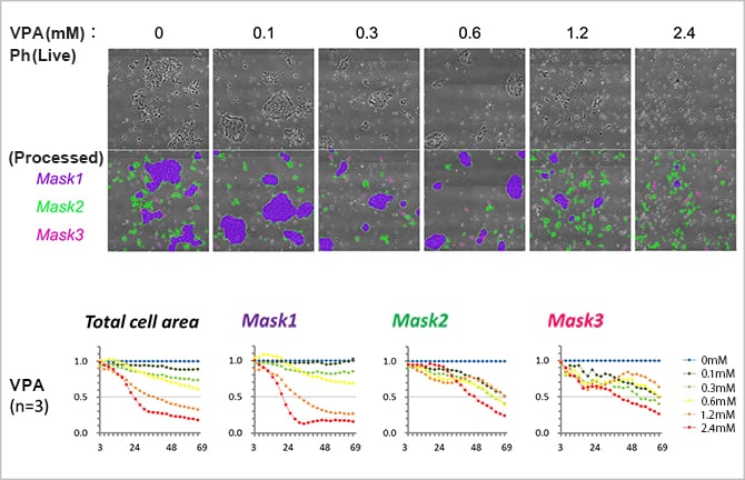 Non-invasive evaluation of developmental neurotoxicity using hPSCs