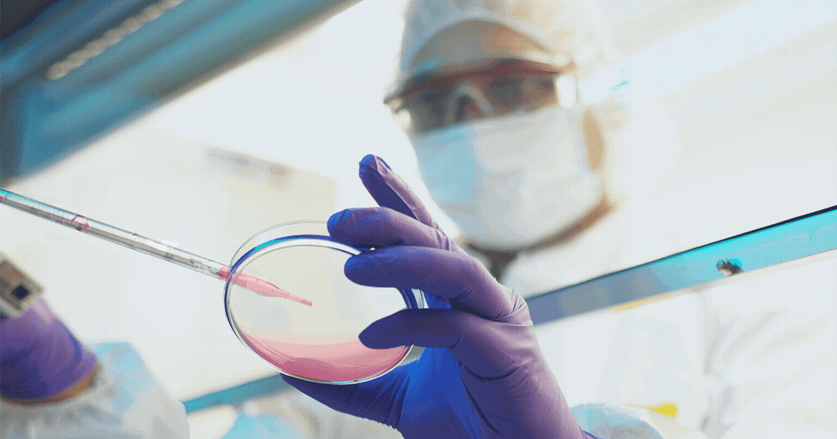 Basic Process in Cell Culture in General Basic knowledge Cell x