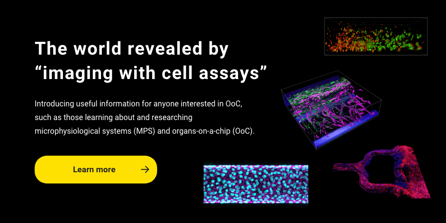 The world revealed by “imaging with cell assays”