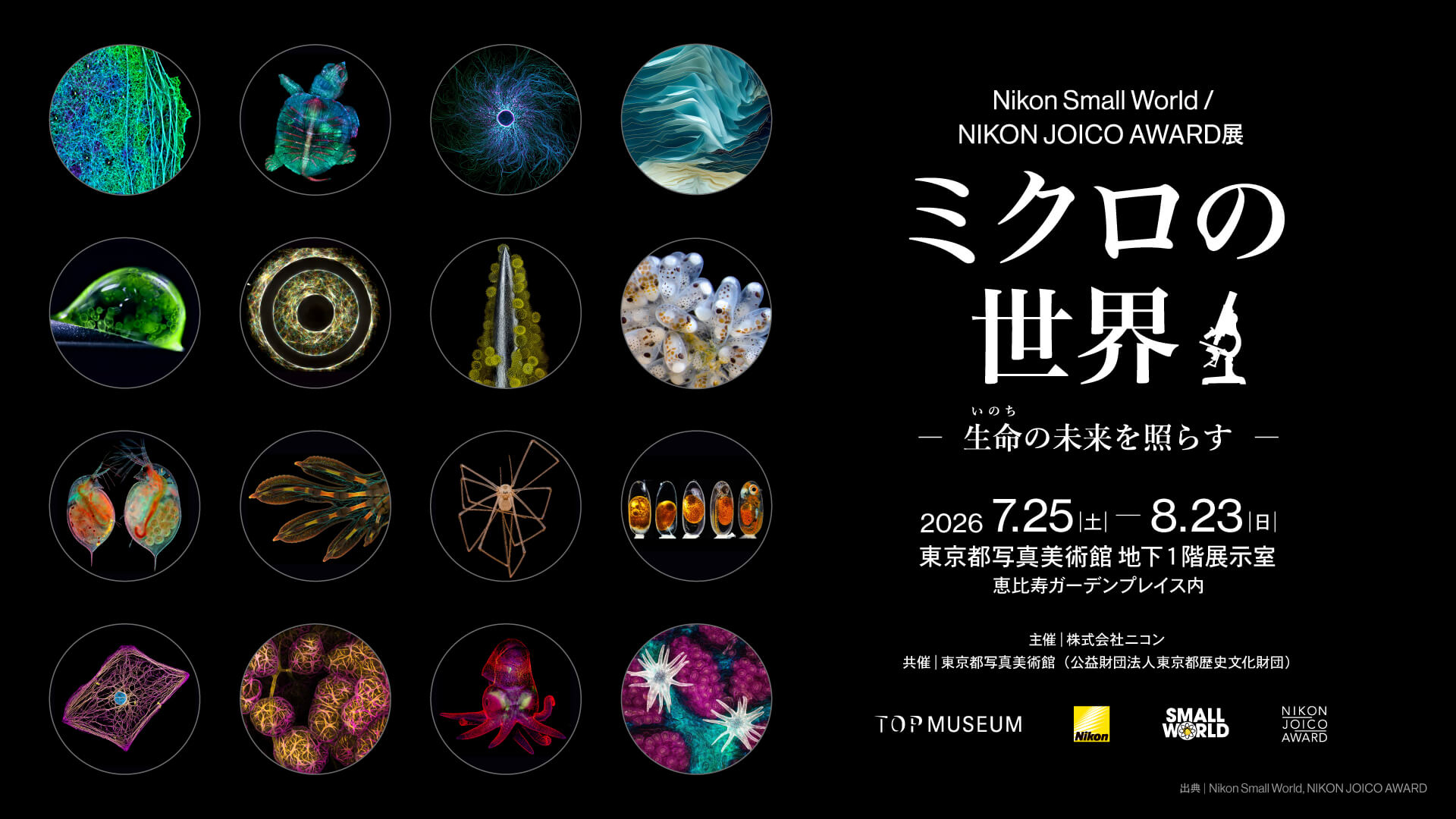 Nikon Small World / NIKON JOICO AWARD展『ミクロの世界 -生命（いのち）の未来を照らす-』