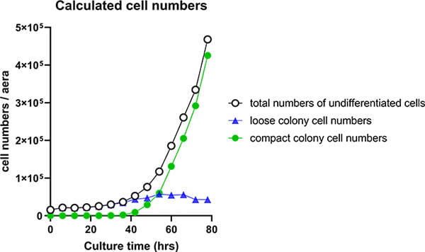 非侵襲的画像解析によりヒトiPS細胞コロニーから細胞数を計測し作成した細胞増殖曲線のグラフ