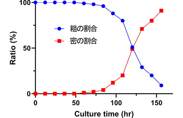 粗密コロニー割合の経時的変化のグラフ