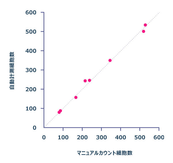 マニュアルカウントと自動計測の比較（骨髄由来間葉系幹細胞UE7T-13(JCRB1154)）