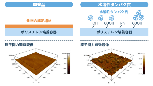 培養表面が細胞培養に与える影響のイメージ図