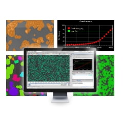 NIS-Elements Cell Analysisモジュール