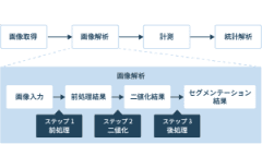 画像解析の一般的な手順とは