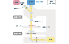 位相差観察に用いる顕微鏡の種類や構造