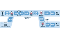 継代作業の条件によって培養工程が受ける影響とは