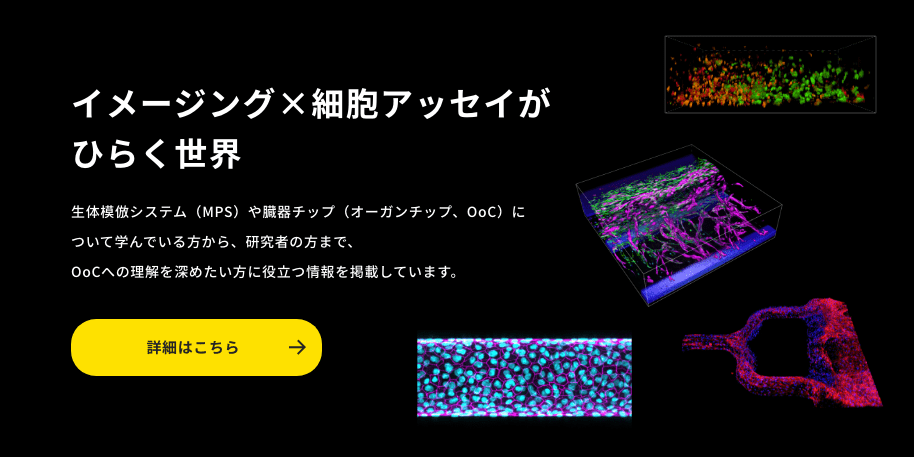 イメージング×細胞アッセイがひらく世界