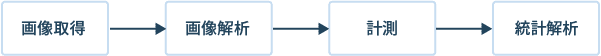 図1：顕微鏡で画像取得した後、統計解析するまでの流れ