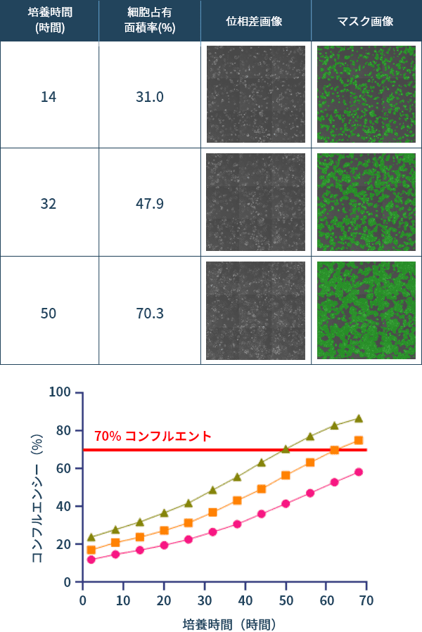図2：画像解析による細胞占有面積計測値を基にした細胞増殖の数値化
