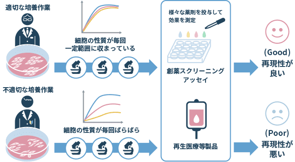 適切な培養作業と不適切な培養作業の図