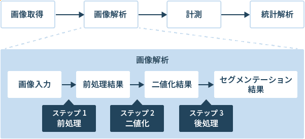 図1：顕微鏡で画像取得した後、統計解析するまでの流れ（上段）と画像解析の目的がセグメンテーションの場合における、詳細プロセス（下段）