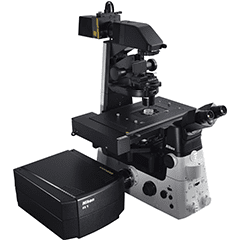 共焦点顕微鏡の写真