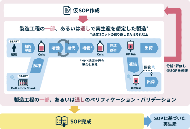 SOP作成の流れ