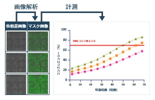 細胞画像における画像解析