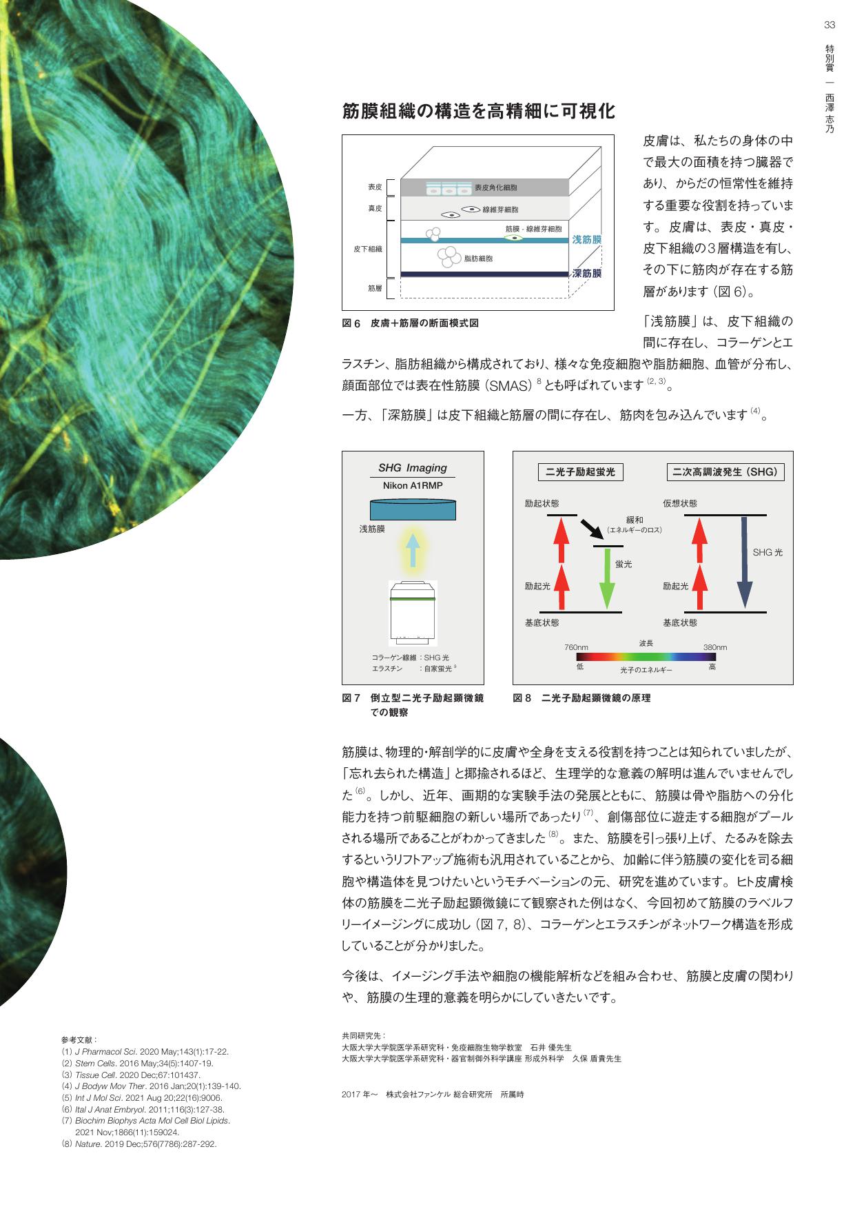 NIKON JOICO AWARD | 特別賞 関節破壊を惹起する悪玉破骨細胞の同定