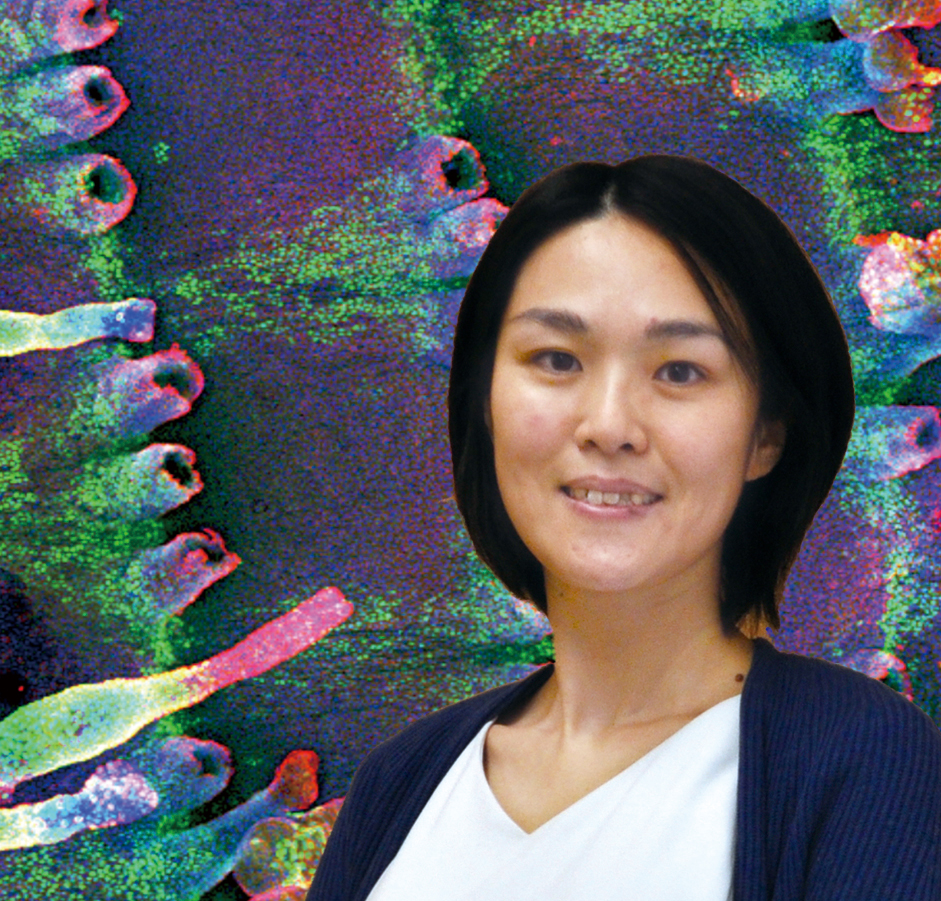 佐田 亜衣子