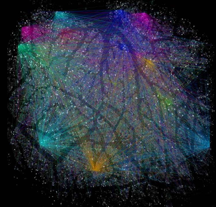 広視野2光子顕微鏡が明らかにした大脳新皮質神経細胞のネットワークダイナミクス