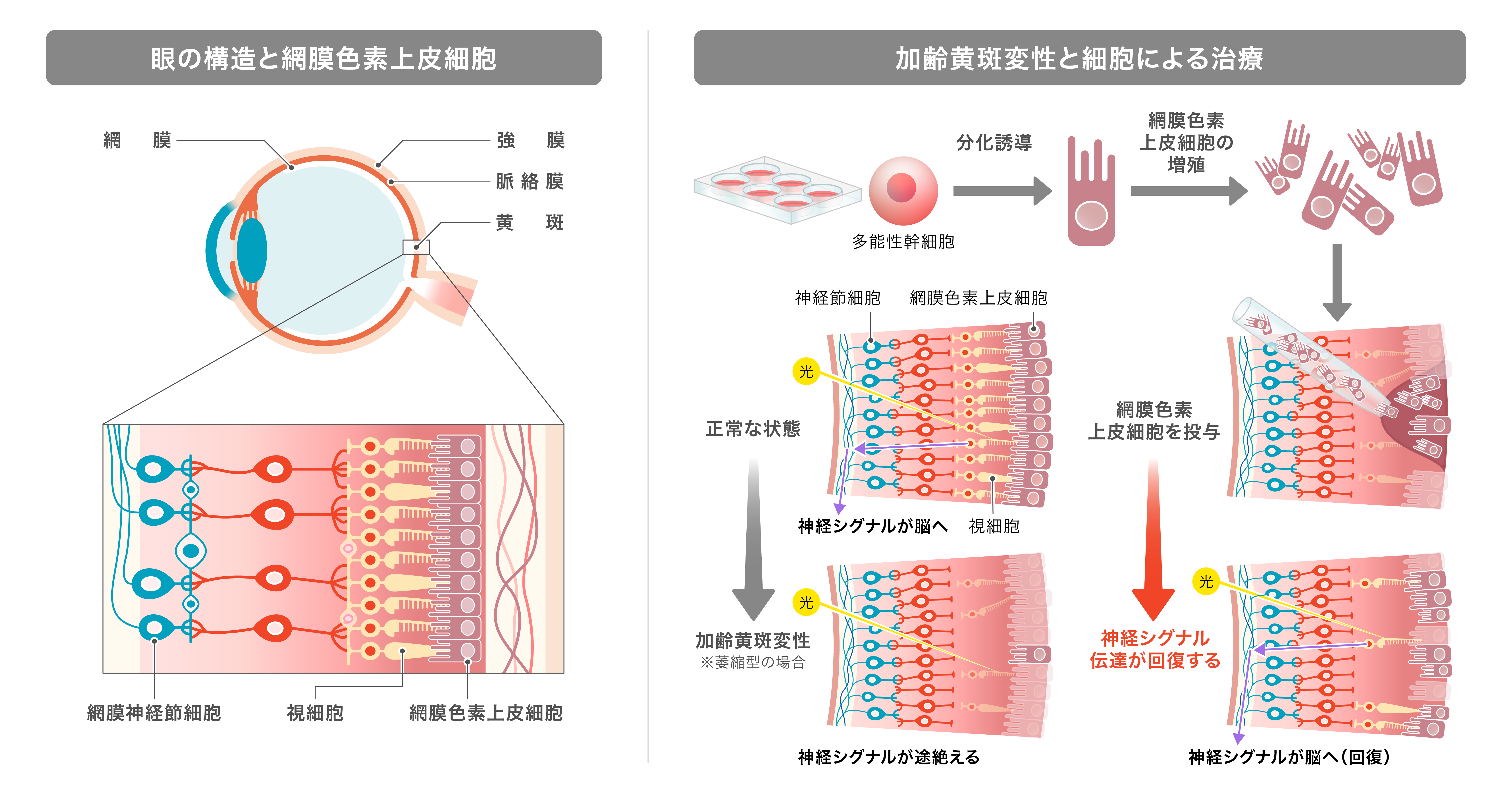 埼玉医科大学 日高キャンパス正門／日高キャンパス 保健医療学部棟